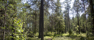 Förskola på Berget får planbesked