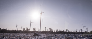 Ny vindkraft pressar Västerbottens elkostnader