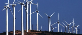 Gotlänningar vill satsa mer på vindkraft