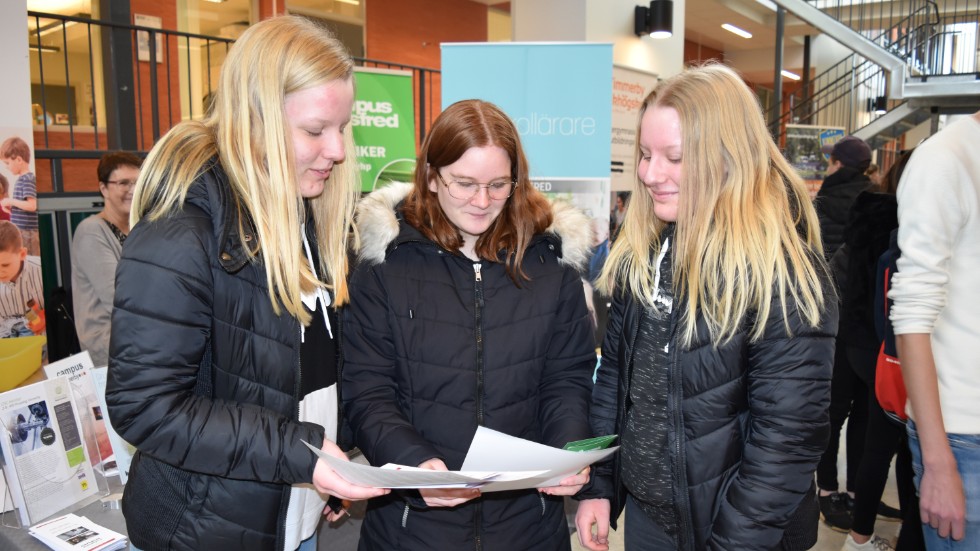 Elin Kratz, Astrid Svensson och Linnea Kratz har bestämt sig för vilka program de ska gå på gymnasiet.