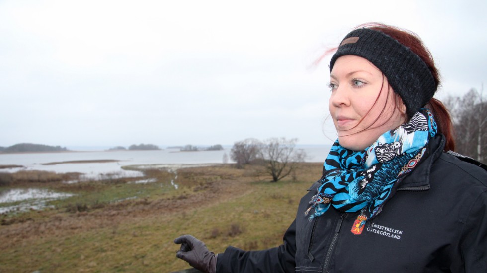 Maria Gustavsson på länsstyrelsen blickar ut över Glans vatten. Glan mår inte så bra som den borde, många insatser behövs för att Glan ska nå upp till nivån god ekologisk status.