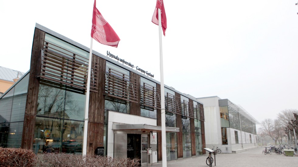 Ökat söktryck till studier kan vara coronaeffekt