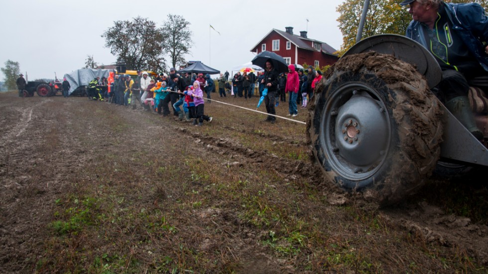 27 tappra vuxna och barn utmanade traktorn på dragkamp i lervällingen. Den yngsta deltagaren var fyra år. 