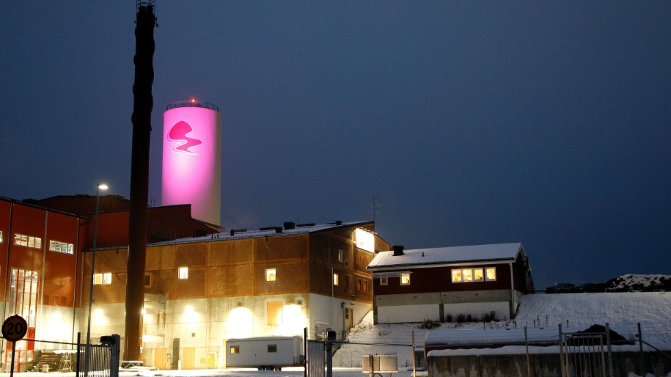 Älvsbyns energi är ett av över 60 företag i Älvsbyn som visar stöd för Shine the Light-veckan genom att färga byn och dess landmärken lila. Storforsen kommer också att lysa lila senare i veckan.