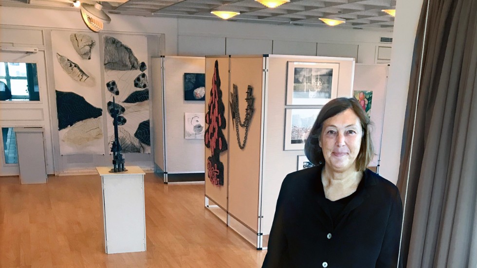 Ett sextiotal konstverk av norrbottniska visas på utställningen Konst åt alla i Överkalix."Tanken är just att göra konst tillgängligt för alla", säger Paula Hoffman, konstansvarig hos Sveriges Folkets hus och parker.