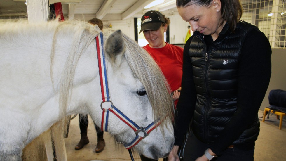 En equiterapeut arbetar med förebyggande friskvård för hästar. Stretch, massage, akupunktur och laser är några av behandlingsmetoderna.