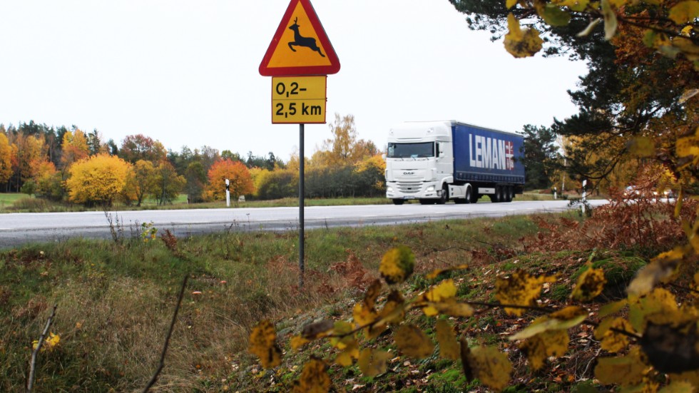 E 22 mellan Gladhammar och Botorpsström, ett par mil söder om Västervik, är en av vägsträckorna med flest viltolyckor i hela landet. Massor av hjortar springer här över vägen.