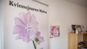 SD vill utöka samarbetet med Malva
