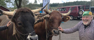 Politiker och knallar på gårdsträff