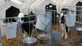 Mjölkproducenter satsar 14 miljoner