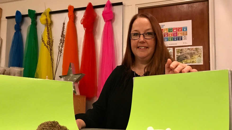 En tom kartong och ett ark färgat papper skapar en så kallad green screen, som på foto eller film möjliggör helt andra bakgrunder. Det lär barnen om källkritik på ett praktiskt sätt, berättar förskolans utvecklingsledare Sarah Wolf Näsström.