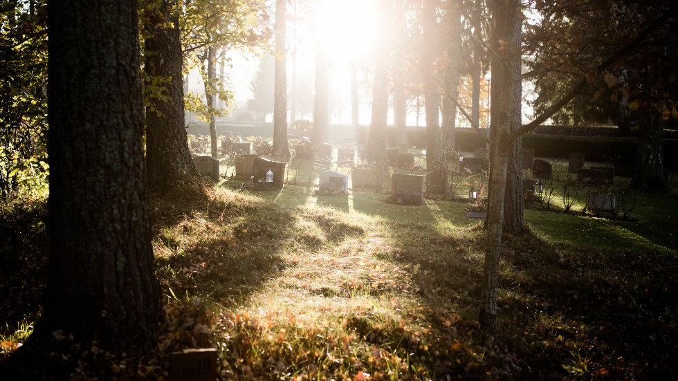 Sju av tio svenskar önskar en miljövänlig begravning. Det visar en tidigare undersökning som Sifo har gjort på uppdrag av Fonus. 