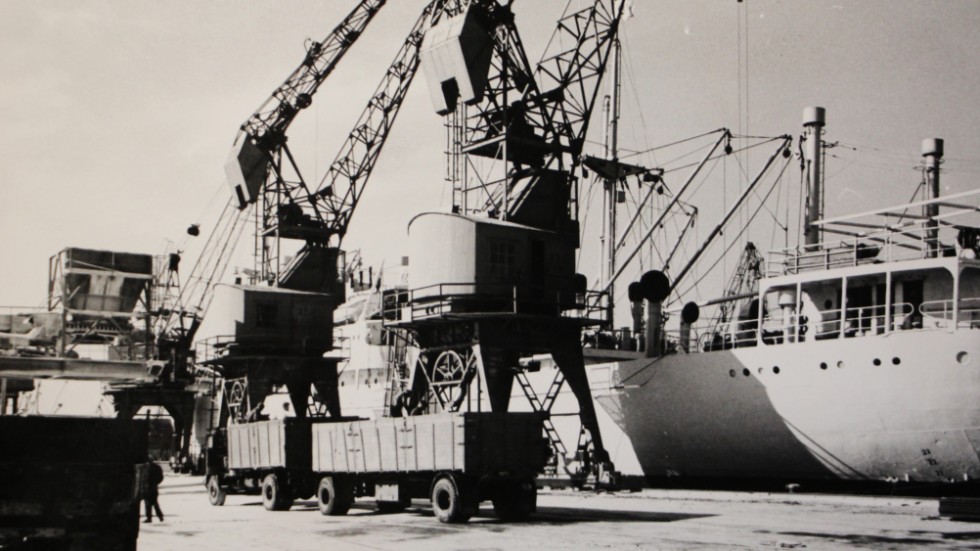 Lossningen av kalksalpeter pågår för fullt i hamnen i oktober 1966.