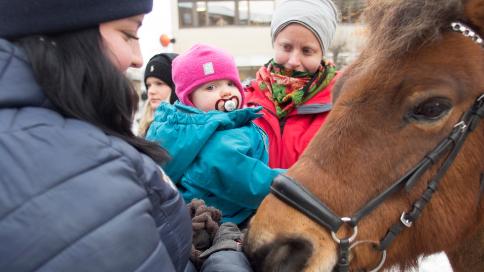 Katrineholms ryttarförening arrangerade ponnyridning och 1,5-åriga Freja Nystrand var väldigt sugen. "Hon är väldigt fascinerad av hästar", säger hennes mamma Elin Nystrand.