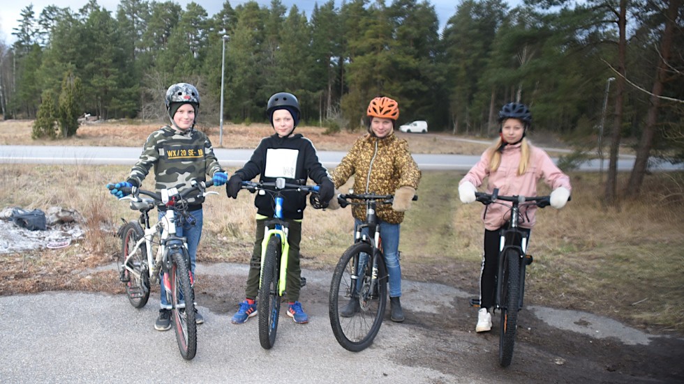 Teo Lindström, Daniel Pettersson, Ella Nilsson och Andrea Svensson gillar att cykla på teknikbanan, men känner viss osäkerhet när de ska korsa den ganska hårt trafikerade Astrid Lindgrensgatan.
