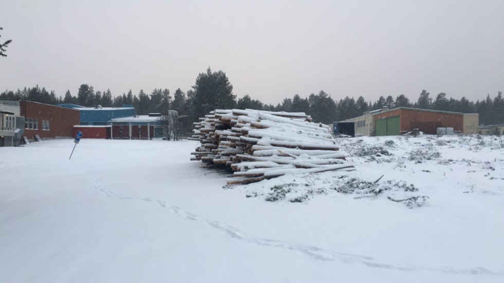 Bakom den gamla Bergnässkolan ligger snötäckta träd som avverkats.
