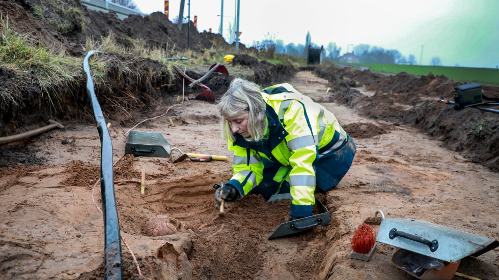 Gravarna har grävts fram med stor försiktighet där penslar och mindre spadar har använts av experterna.